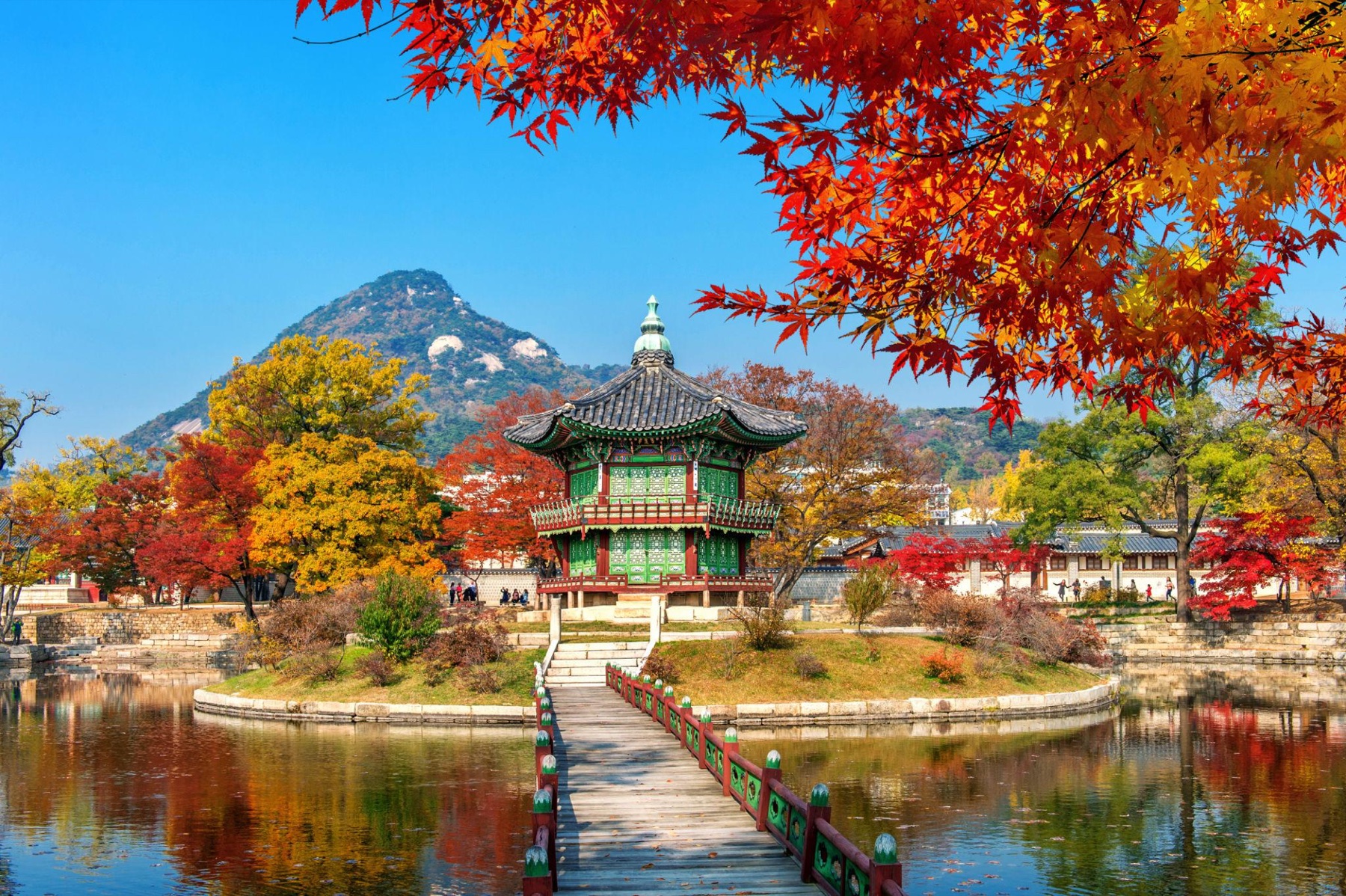 Gyeongbokgung cercado pela folhagem de outono em Seul